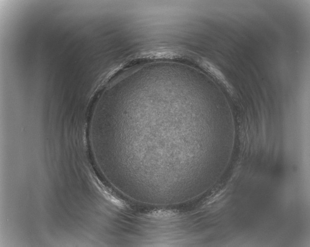 X0000067470537200604101201