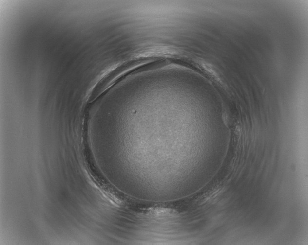 X0000067470539200604101201