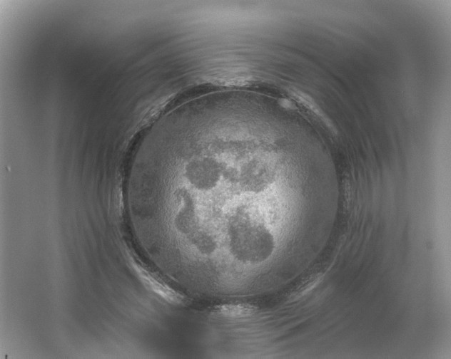 X0000067470541200604101201