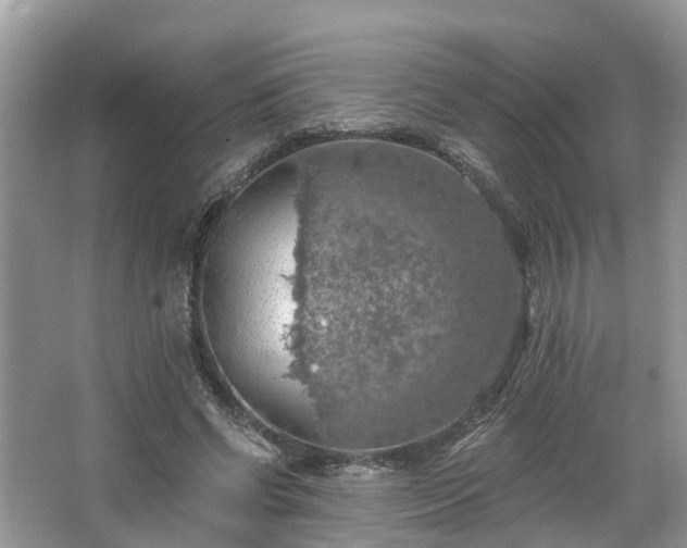 X0000067470542200604101201