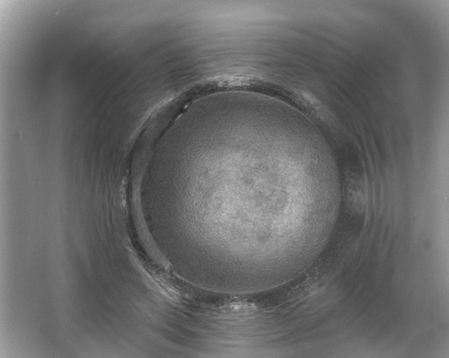 X0000067470543200604101201