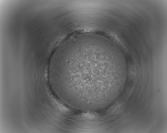 X0000067470545200604101201