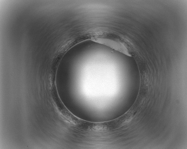 X0000067470546200604101201