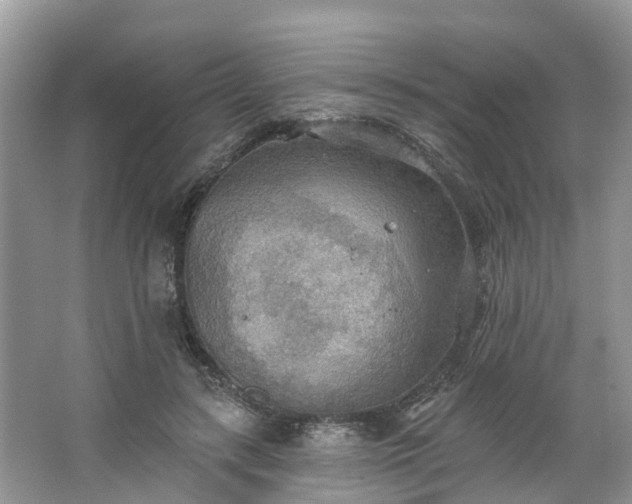 X0000067470547200604101201