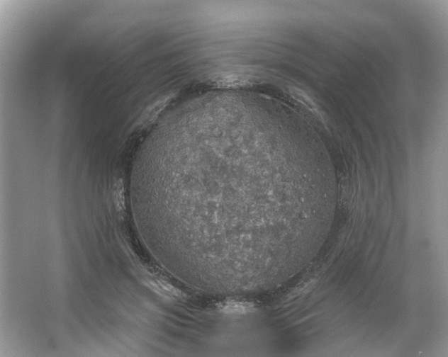 X0000067470549200604101201