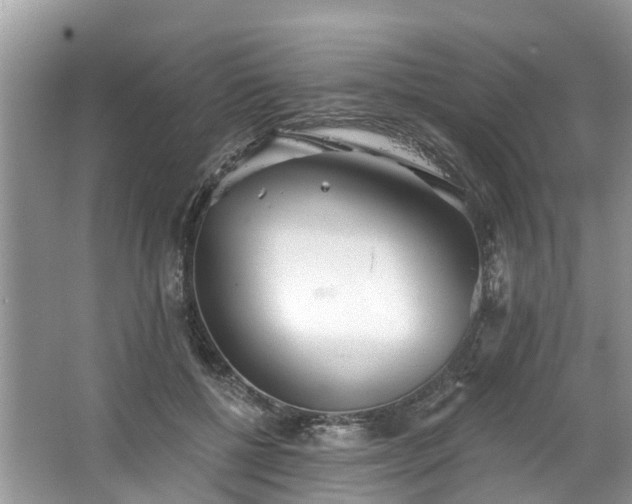 X0000067470552200604101201