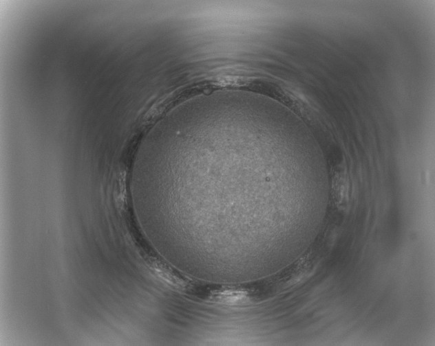 X0000067470554200604101202