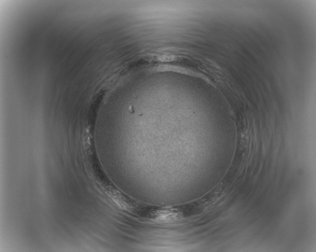 X0000067470555200604101202