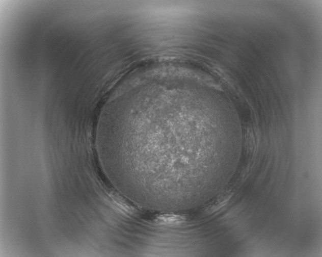 X0000067470557200604101202