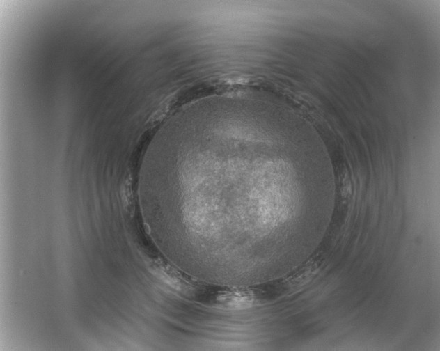 X0000067470559200604101202