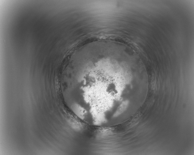 X0000067470569200604101202