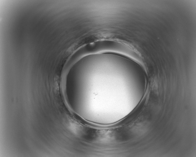 X0000067470570200604101202