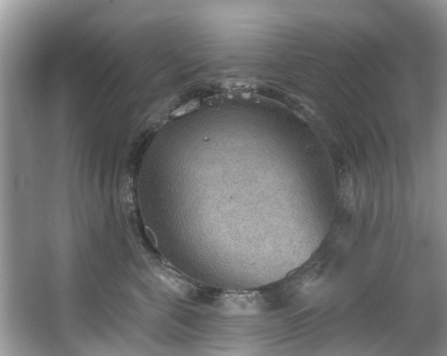 X0000067470571200604101202