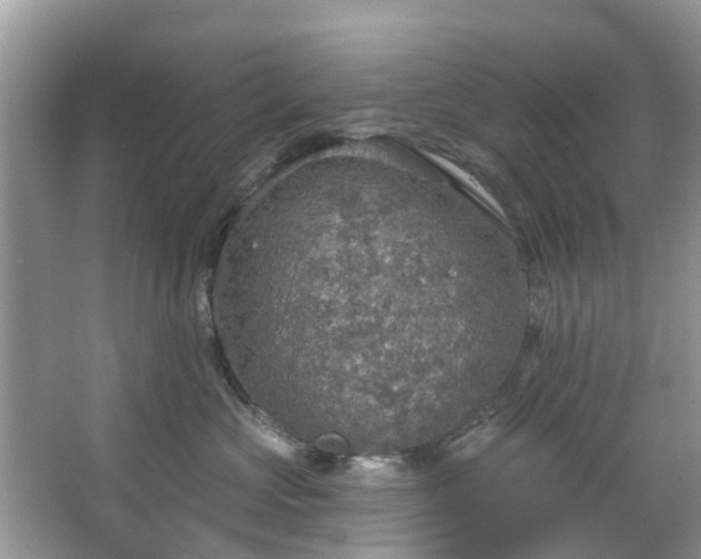 X0000067470573200604101202