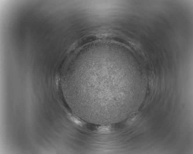 X0000067470574200604101202