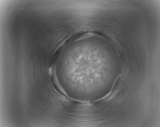 X0000067470576200604101202