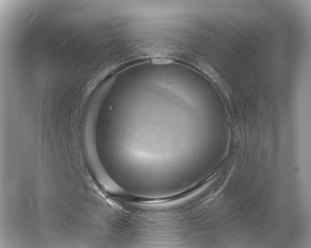 X0000067470577200604101201