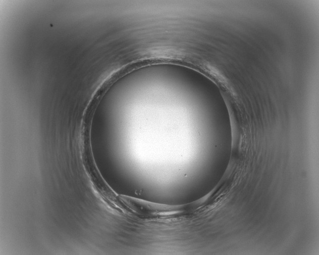 X0000067470580200604101201