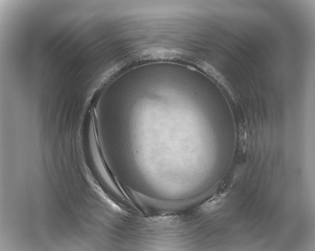 X0000067470581200604101201