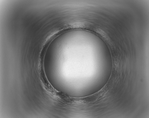 X0000067470583200604101201