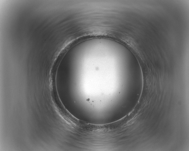 X0000067470584200604101201