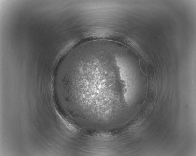 X0000067470586200604101201