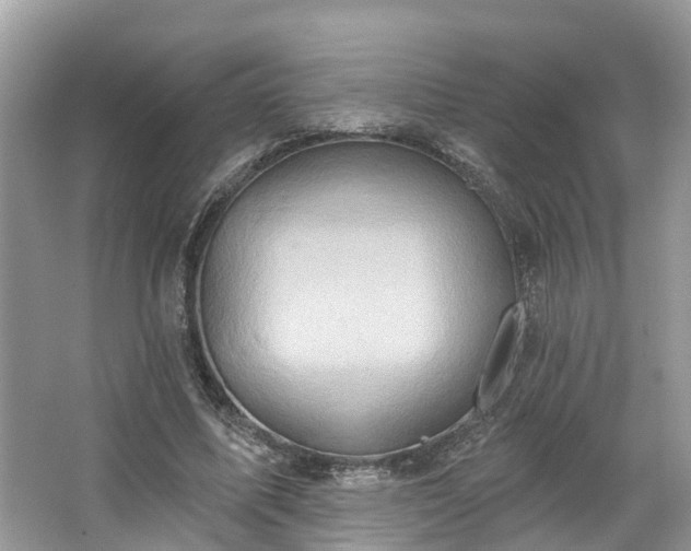 X0000067470587200604101201