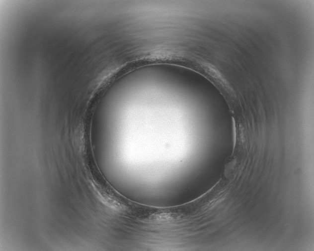 X0000067470588200604101201