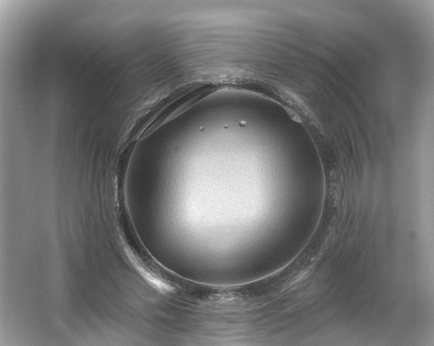 X0000067470589200604101201