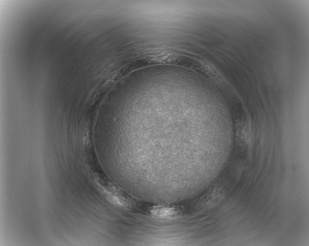 X0000067470602200604101201