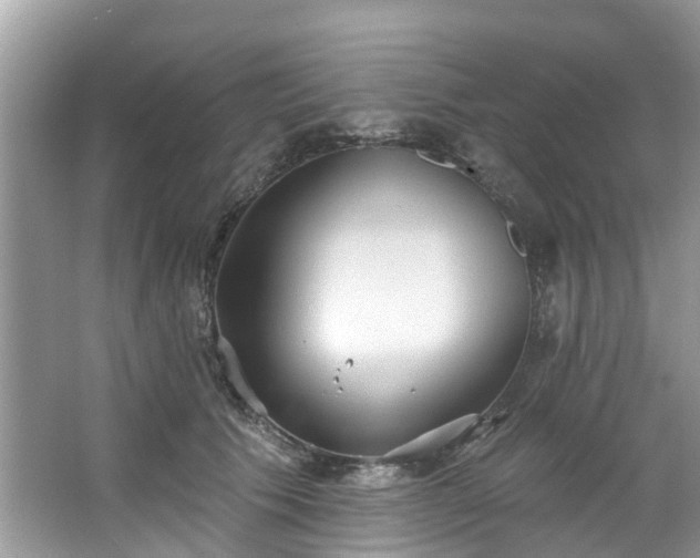 X0000067470609200604101201