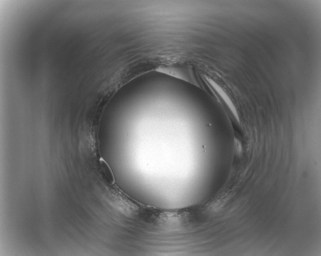 X0000067470613200604101200