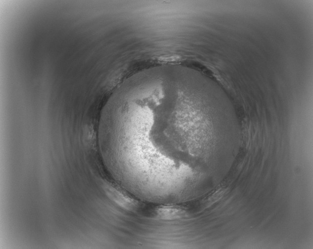 X0000067470614200604101200