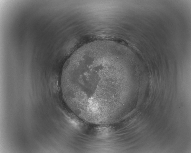 X0000067470615200604101200