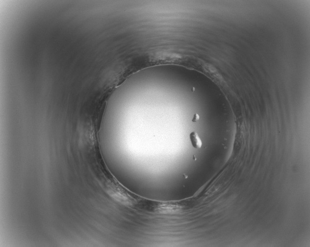 X0000067470617200604101200