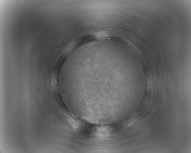 X0000067470618200604101200