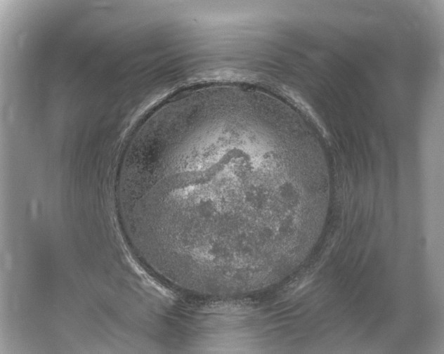 X0000067470625200604101159