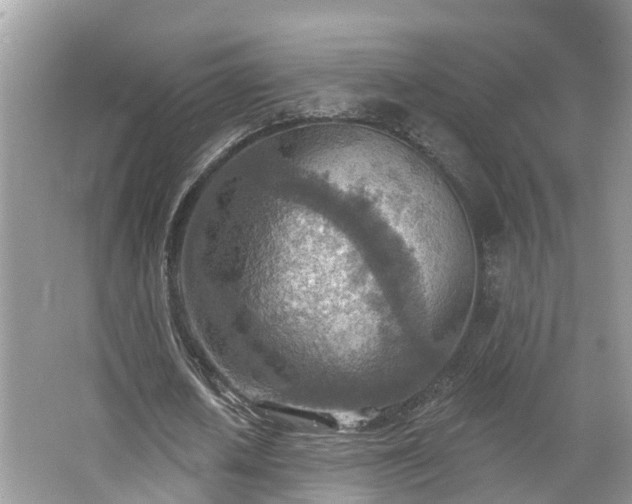 X0000067470626200604101159