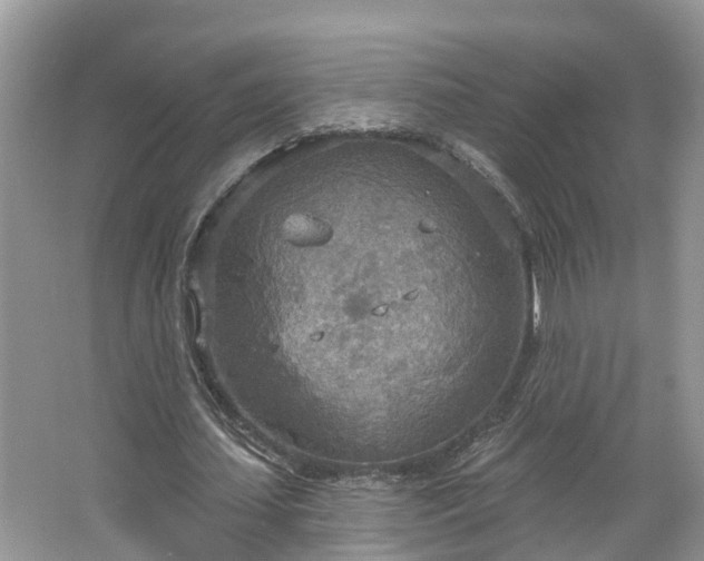 X0000067470627200604101200