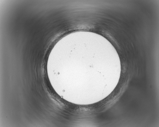 X0000067470632200604101200