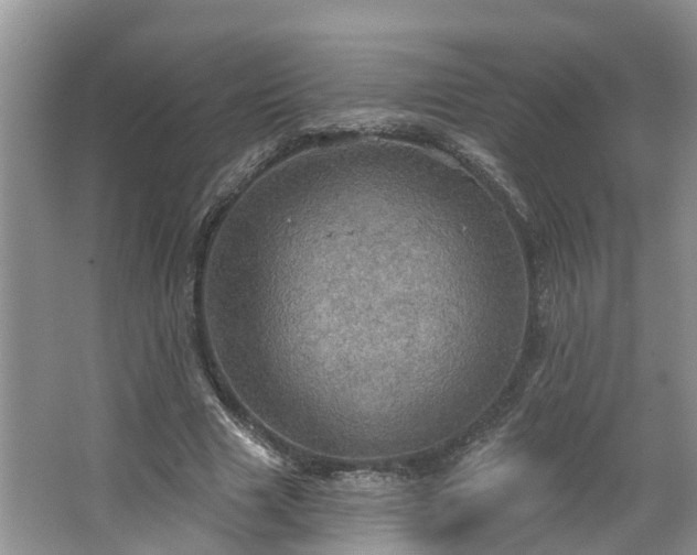 X0000067470633200604101200