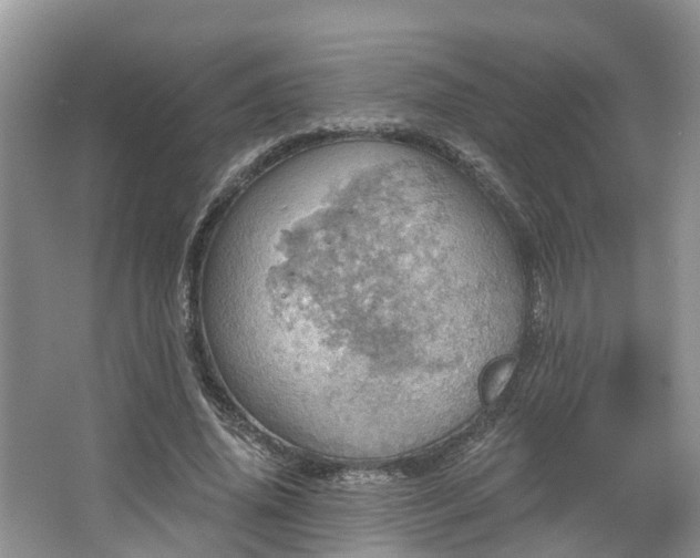 X0000067470636200604101200