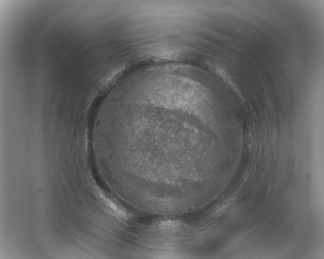 X0000067470637200604101200