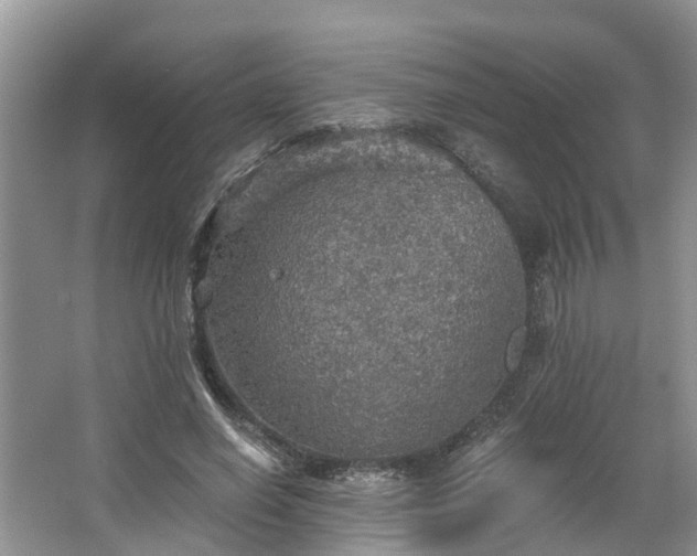 X0000067470638200604101200