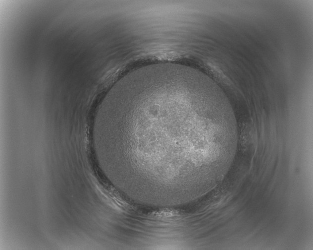 X0000067470639200604101200