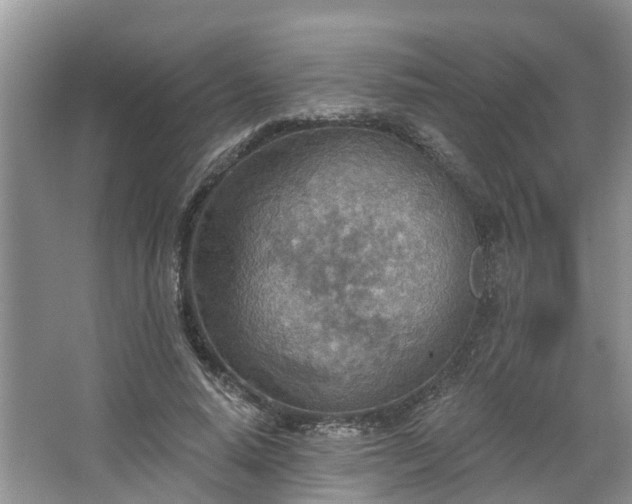 X0000067470640200604101200