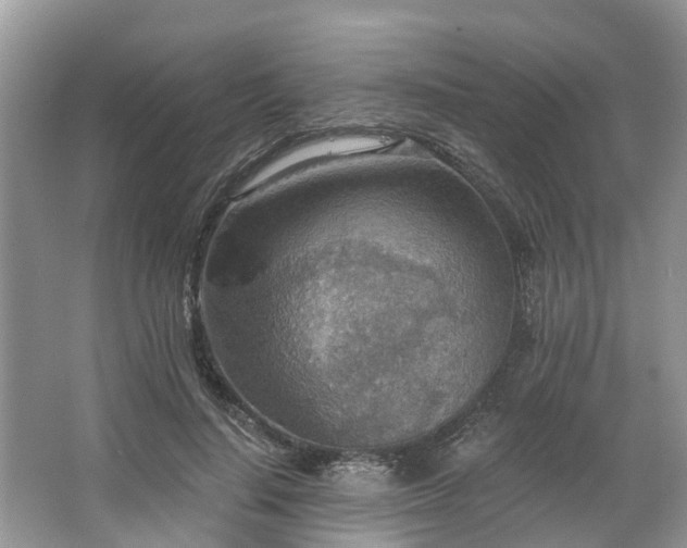 X0000067470644200604101200