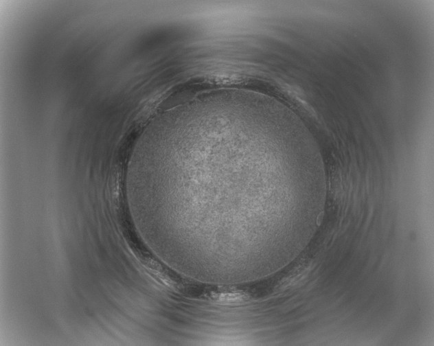 X0000067470645200604101200