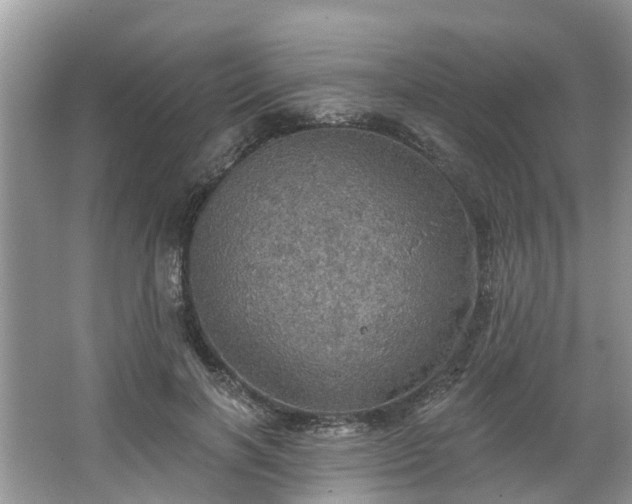 X0000067470646200604101200