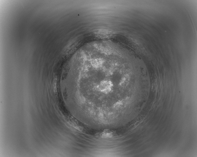 X0000067470647200604101200